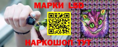 PSILOCYBIN Жуковский